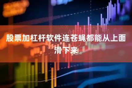 股票加杠杆软件连苍蝇都能从上面滑下来