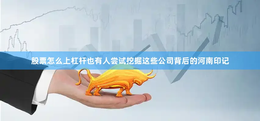 股票怎么上杠杆也有人尝试挖掘这些公司背后的河南印记