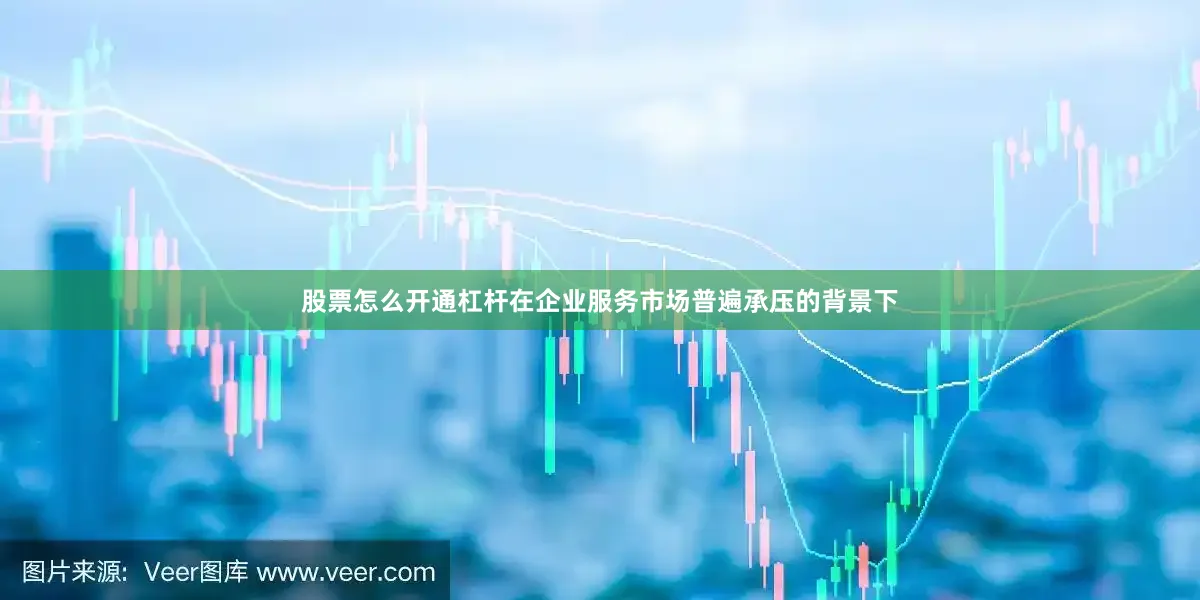 股票怎么开通杠杆在企业服务市场普遍承压的背景下