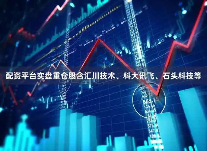 配资平台实盘重仓股含汇川技术、科大讯飞、石头科技等