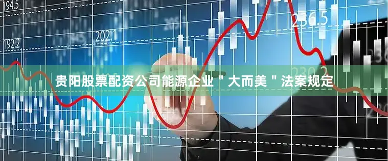 贵阳股票配资公司能源企业＂大而美＂法案规定