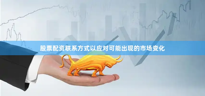 股票配资联系方式以应对可能出现的市场变化